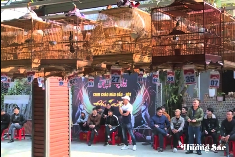 Kiểm lâm Huế chia sẻ về thông tin mang chim cảnh đi cà phê phải có giấy tờ hợp pháp