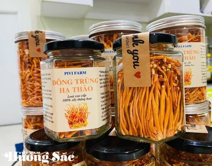 Bỏ phố về quê trồng nhiều loại nấm quý, cô gái trẻ thu nhập hơn 40 triệu đồng/tháng