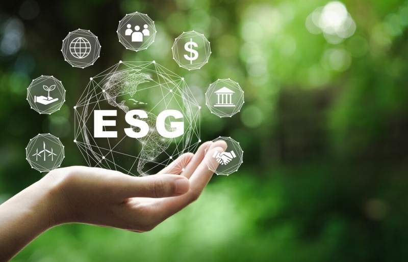 Doanh nghiệp Việt và hành trình thực thi ESG: Chìa khóa mở cánh cửa phát triển bền vững