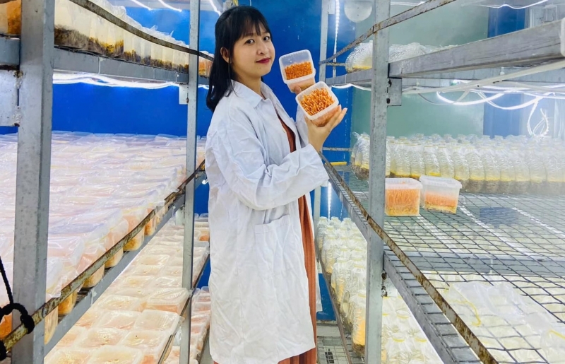 Bỏ phố về quê trồng nhiều loại nấm quý, cô gái trẻ thu nhập hơn 40 triệu đồng/tháng