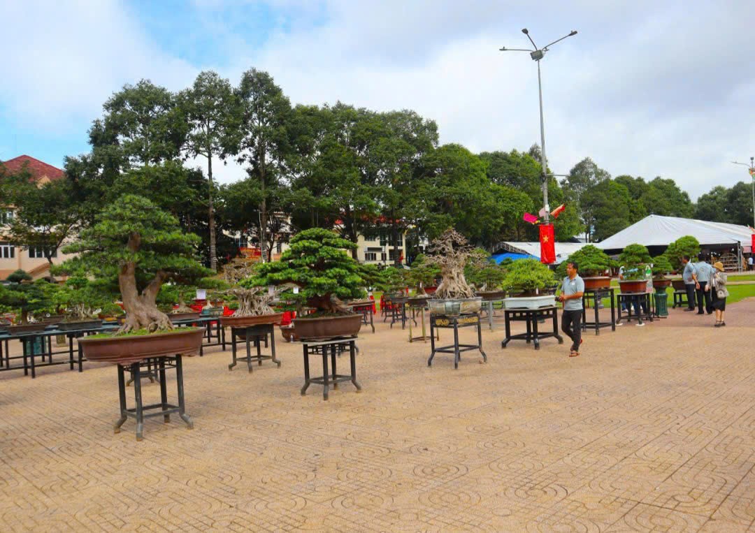 Nét mới trong triển lãm sinh vật cảnh tại Đắk Lắk