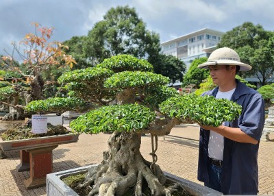 Nét mới trong triển lãm sinh vật cảnh tại Đắk Lắk