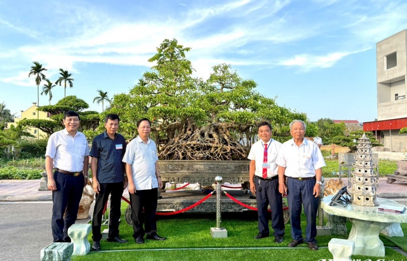Triển lãm cây cảnh nghệ thuật 30/4 Hải Hậu: Hội tụ tinh hoa nghệ thuật