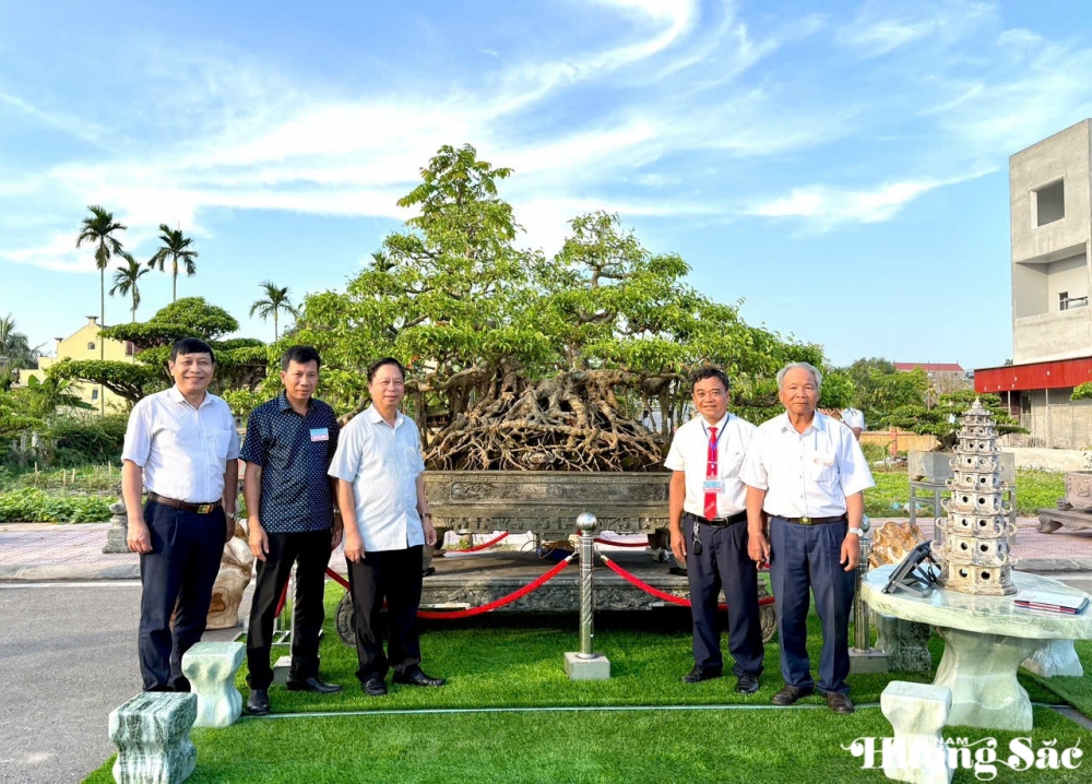 Triển lãm cây cảnh nghệ thuật 30/4 Hải Hậu: Hội tụ tinh hoa nghệ thuật Triển lãm cây cảnh nghệ thuật 30/4 Hải Hậu: Hội tụ tinh hoa nghệ thuật