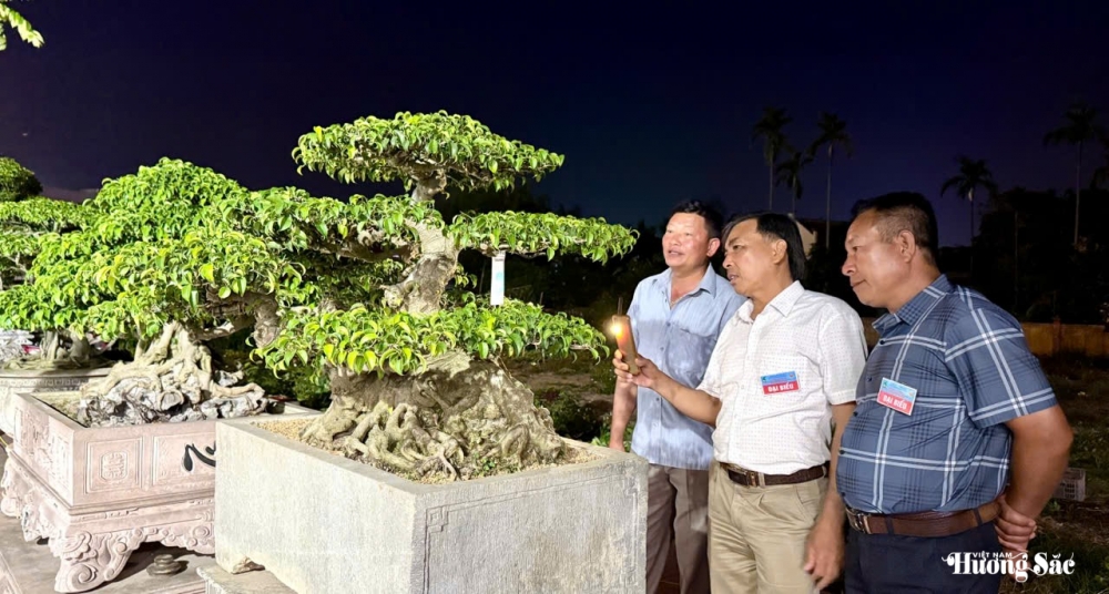 Triển lãm cây cảnh nghệ thuật 30/4 Hải Hậu: Hội tụ tinh hoa nghệ thuật Triển lãm cây cảnh nghệ thuật 30/4 Hải Hậu: Hội tụ tinh hoa nghệ thuật
