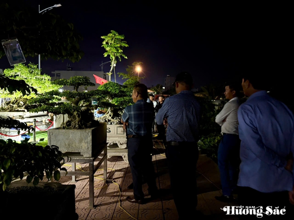 Triển lãm cây cảnh nghệ thuật 30/4 Hải Hậu: Hội tụ tinh hoa nghệ thuật Triển lãm cây cảnh nghệ thuật 30/4 Hải Hậu: Hội tụ tinh hoa nghệ thuật