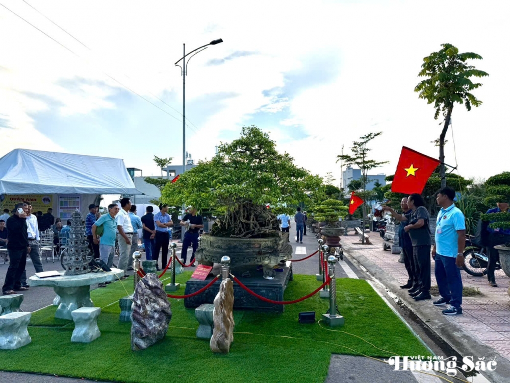 Triển lãm cây cảnh nghệ thuật 30/4 Hải Hậu: Hội tụ tinh hoa nghệ thuật Triển lãm cây cảnh nghệ thuật 30/4 Hải Hậu: Hội tụ tinh hoa nghệ thuật