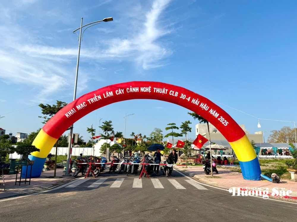 Triển lãm cây cảnh nghệ thuật 30/4 Hải Hậu: Hội tụ tinh hoa nghệ thuật Triển lãm cây cảnh nghệ thuật 30/4 Hải Hậu: Hội tụ tinh hoa nghệ thuật