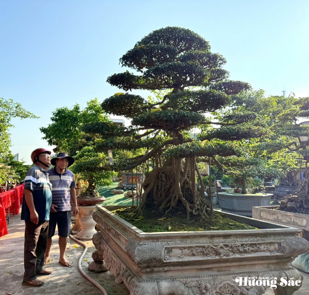 Triển lãm cây cảnh nghệ thuật 30/4 Hải Hậu: Hội tụ tinh hoa nghệ thuật Triển lãm cây cảnh nghệ thuật 30/4 Hải Hậu: Hội tụ tinh hoa nghệ thuật
