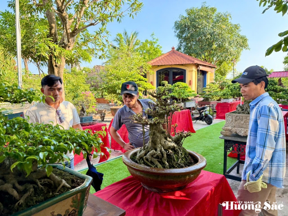 Triển lãm cây cảnh nghệ thuật 30/4 Hải Hậu: Hội tụ tinh hoa nghệ thuật Triển lãm cây cảnh nghệ thuật 30/4 Hải Hậu: Hội tụ tinh hoa nghệ thuật