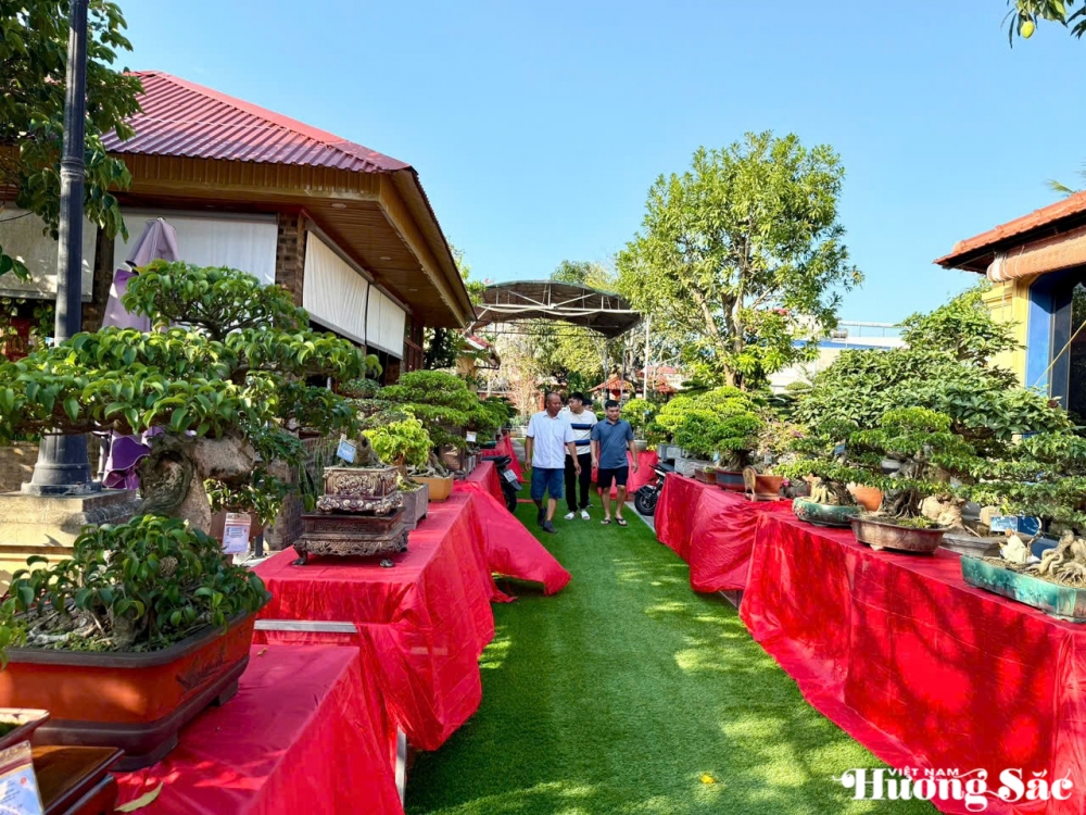 Triển lãm cây cảnh nghệ thuật 30/4 Hải Hậu: Hội tụ tinh hoa nghệ thuật Triển lãm cây cảnh nghệ thuật 30/4 Hải Hậu: Hội tụ tinh hoa nghệ thuật