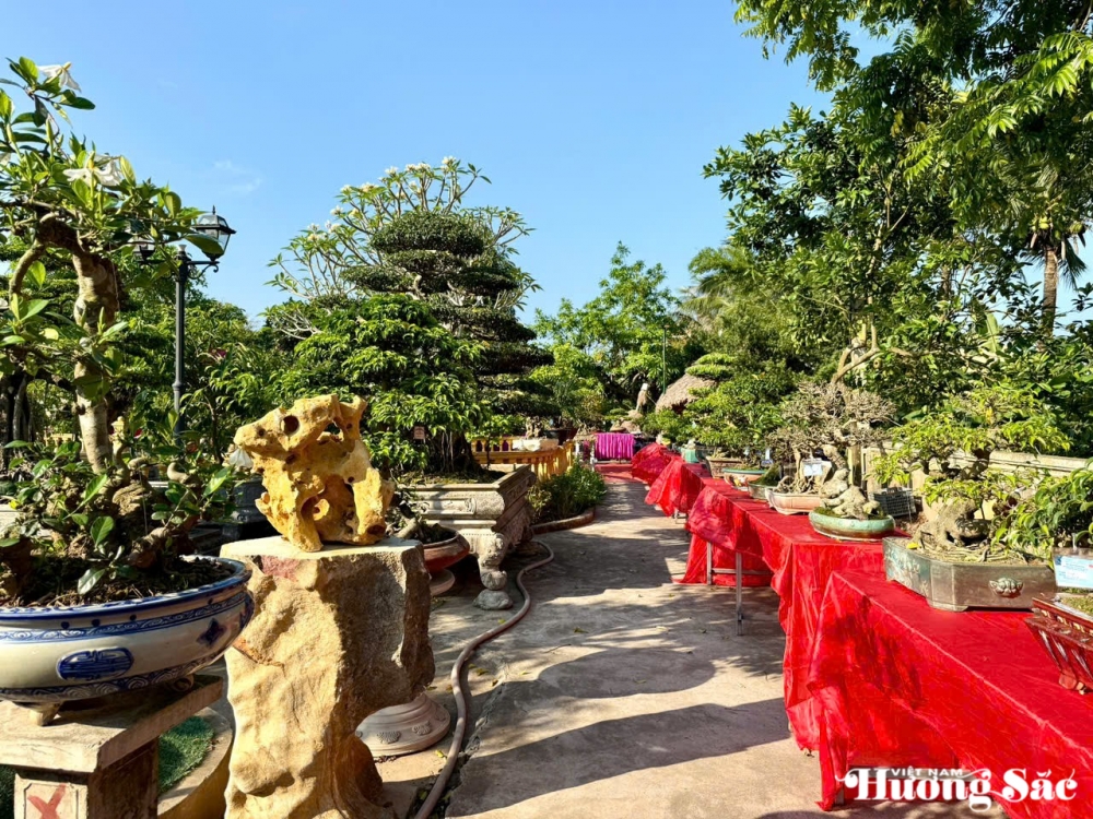 Triển lãm cây cảnh nghệ thuật 30/4 Hải Hậu: Hội tụ tinh hoa nghệ thuật Triển lãm cây cảnh nghệ thuật 30/4 Hải Hậu: Hội tụ tinh hoa nghệ thuật