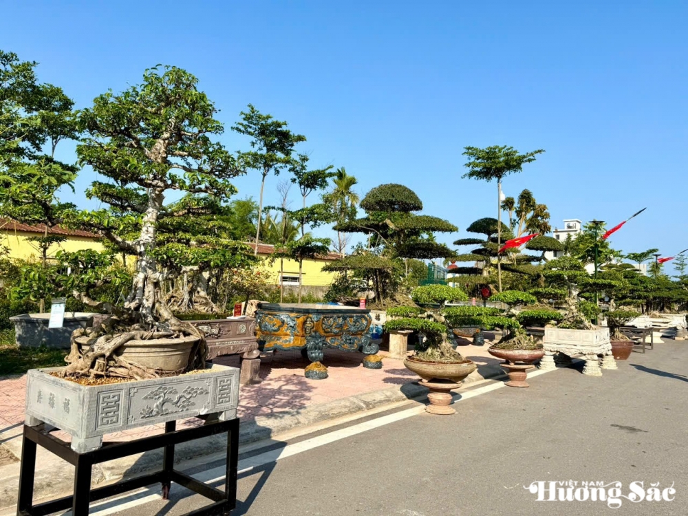 Triển lãm cây cảnh nghệ thuật 30/4 Hải Hậu: Hội tụ tinh hoa nghệ thuật Triển lãm cây cảnh nghệ thuật 30/4 Hải Hậu: Hội tụ tinh hoa nghệ thuật