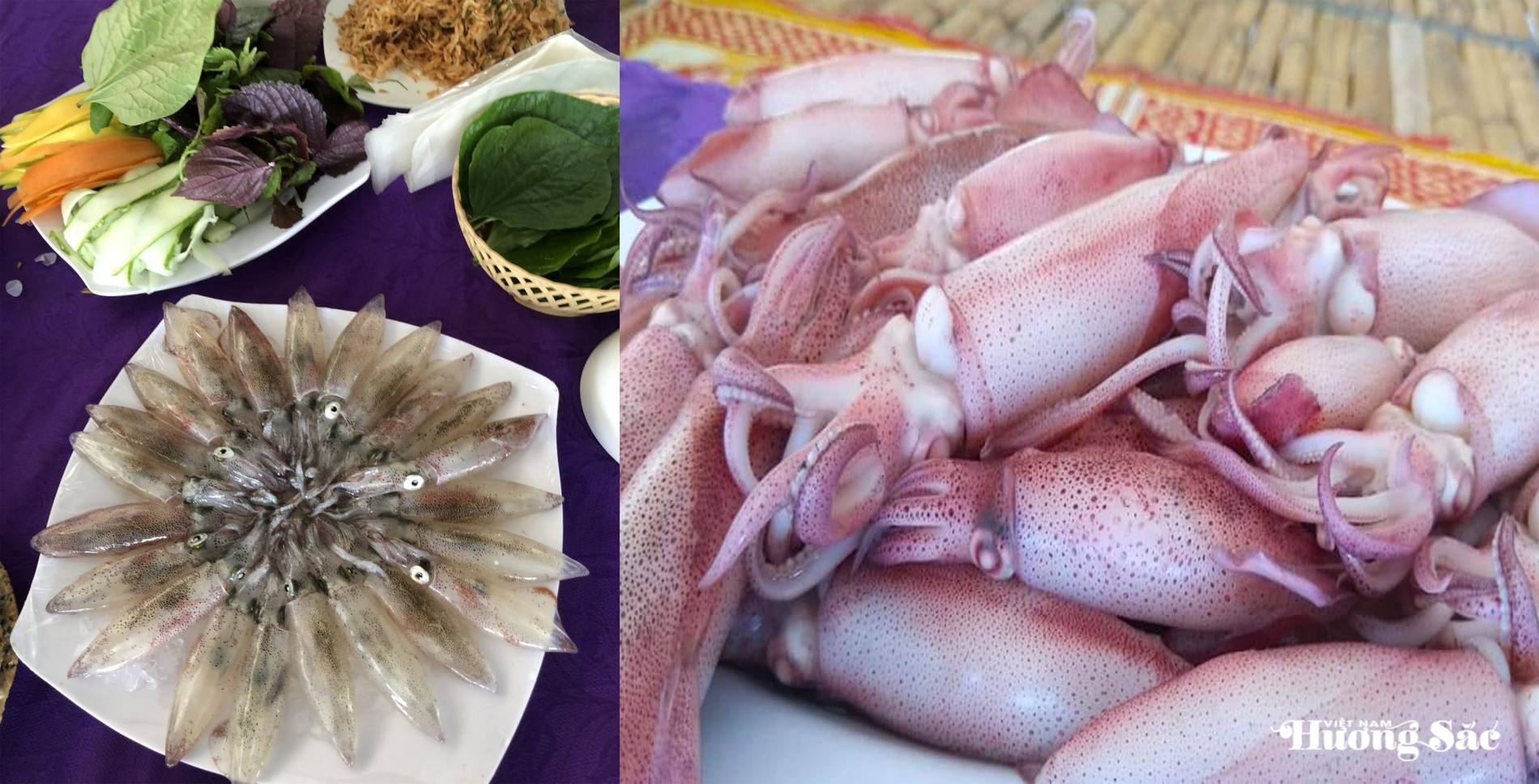 Đặc sản mực nhảy Vũng Áng: Tinh hoa ẩm thực vùng biển Hà Tĩnh
