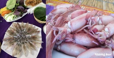 Đặc sản mực nhảy Vũng Áng: Tinh hoa ẩm thực vùng biển Hà Tĩnh