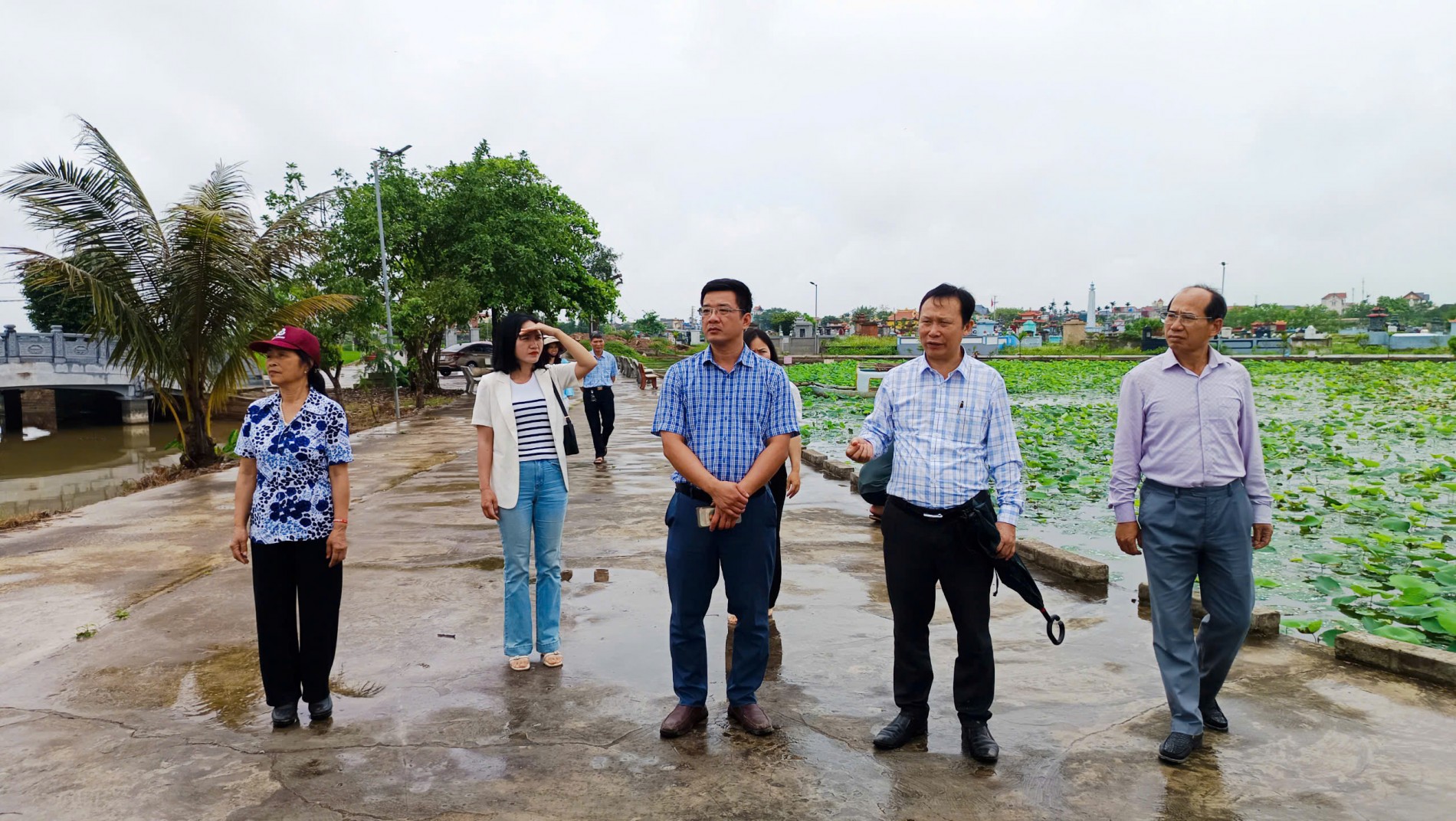 HTX hoa Sen Vân Đài: Theo dấu chân công chúa Diệu Dung, trải nghiệm ngắm sen nở khoe sắc