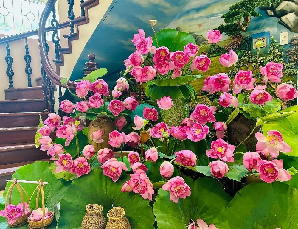 PGS.TS Đặng Văn Đông: “Sen Việt hoàn toàn có thể trở thành một ngành hàng nông nghiệp – văn hóa – dược liệu chiến lược”