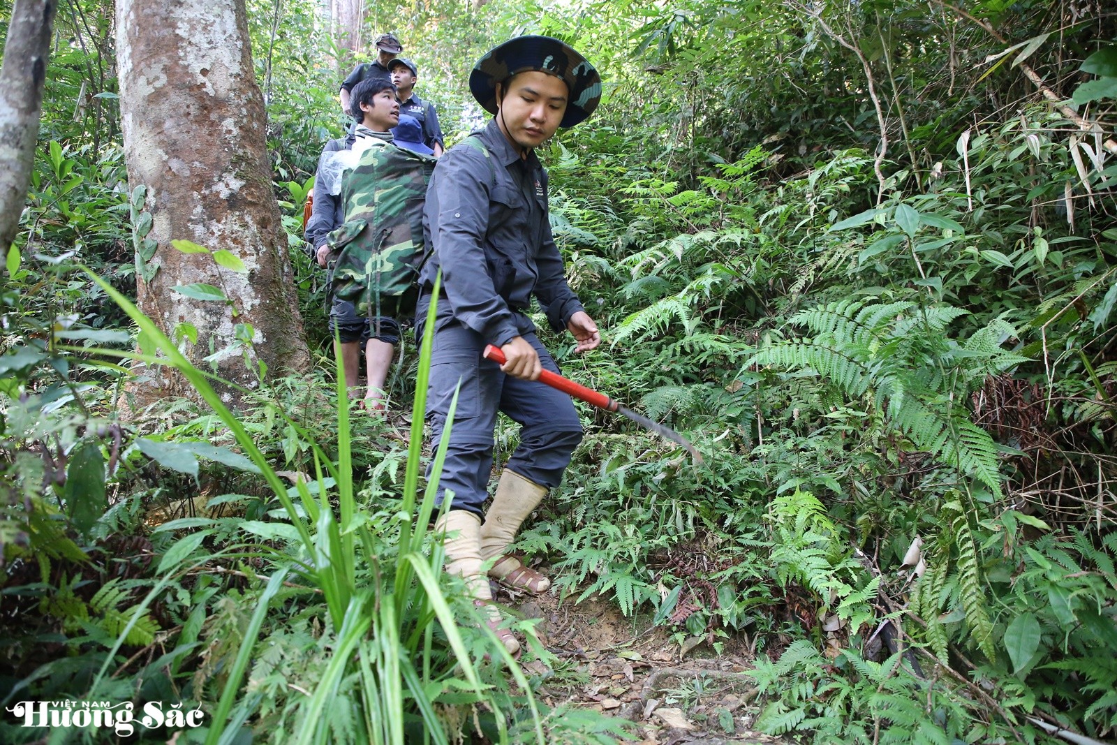 Biệt đội phá bẫy giải cứu động vật hoang dã ở rừng nguyên sinh Quảng Nam
