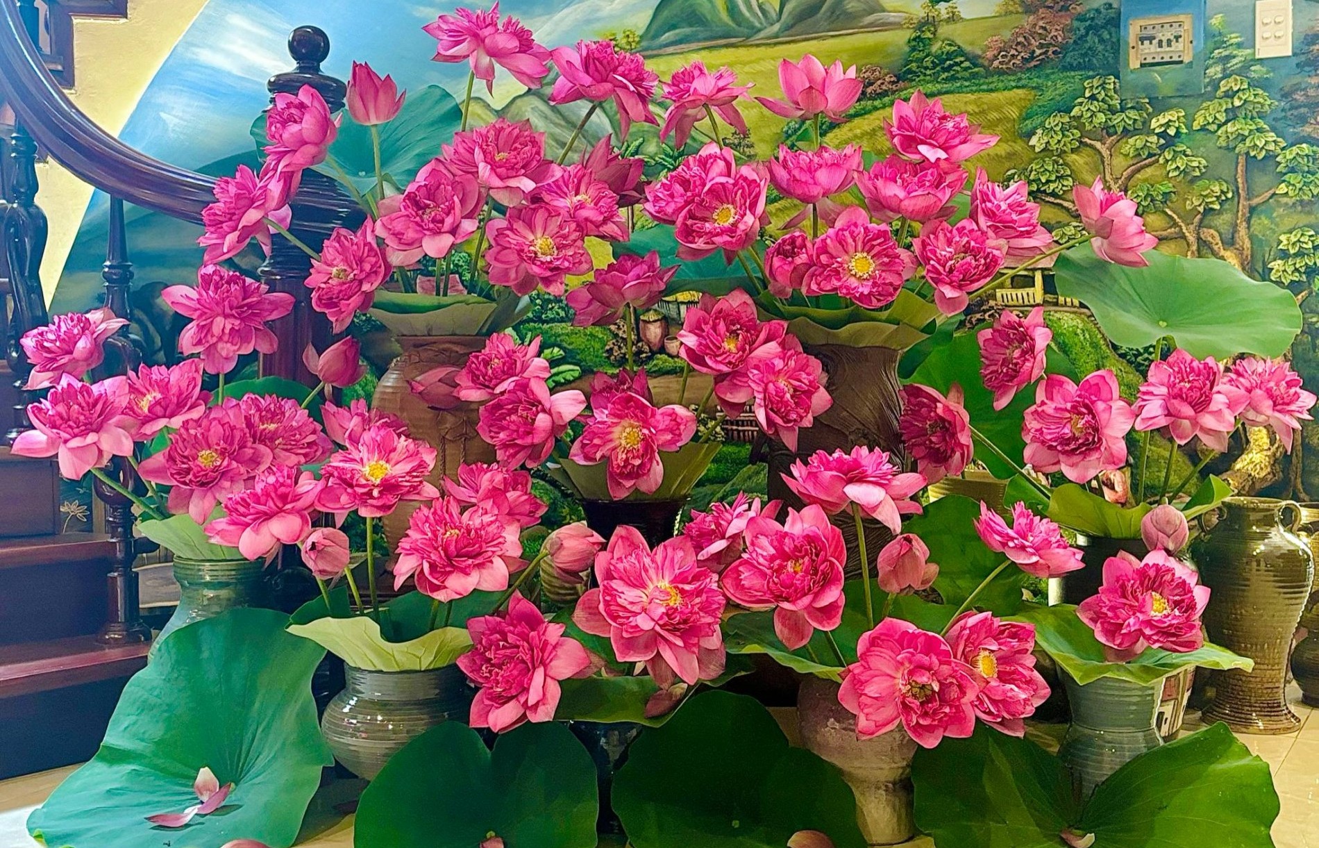 PGS.TS Đặng Văn Đông: "Sen Tây Hồ là biểu tượng sống động của một Hà Nội thanh lịch, hiện đại mà vẫn đậm hồn Việt"