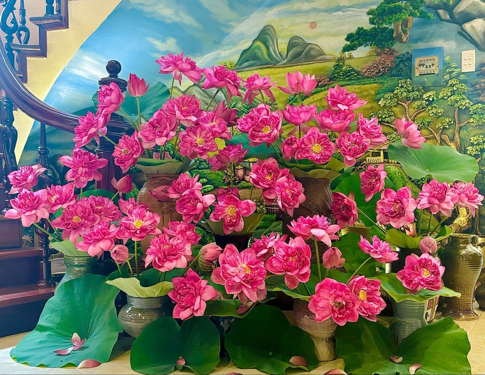 PGS.TS Đặng Văn Đông: Sen Tây Hồ là biểu tượng sống động của một Hà Nội thanh lịch, hiện đại mà vẫn đậm hồn Việt