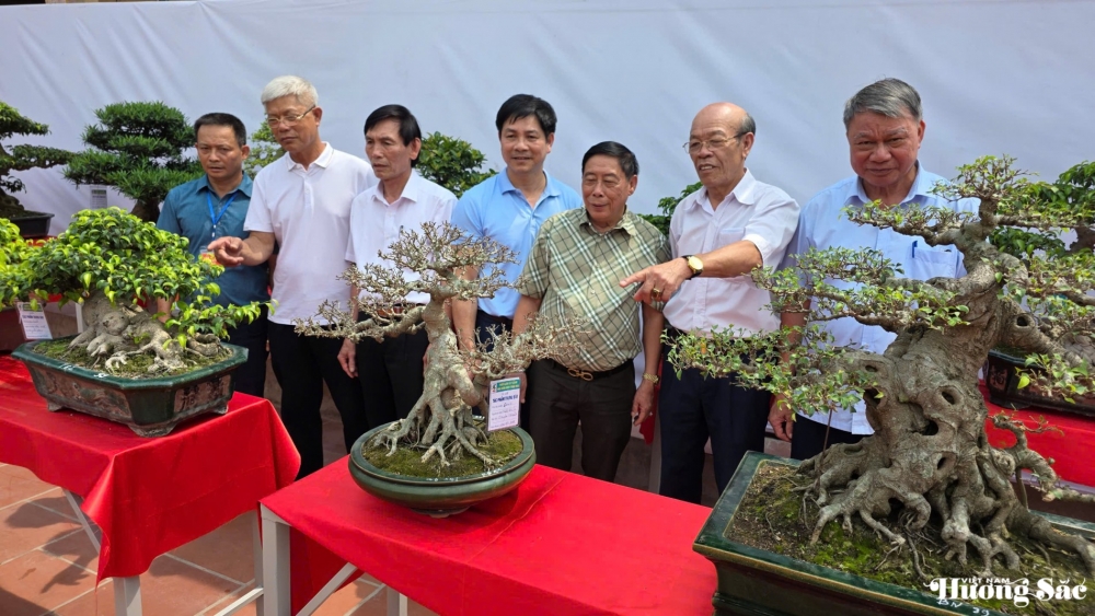 Gia Bình rộn ràng ngày hội cây cảnh: Vợ chồng nghệ nhân Nguyễn Đình Tuấn mở triển lãm kết nối đam mê