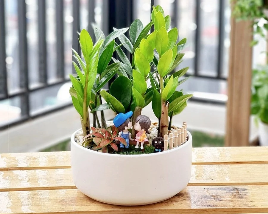 5 loại cây cảnh hút tài lộc cho cầu thang, chuẩn phong thủy với người mệnh Thủy