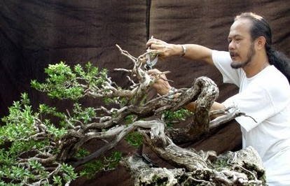 Đạo của người chơi cây cảnh