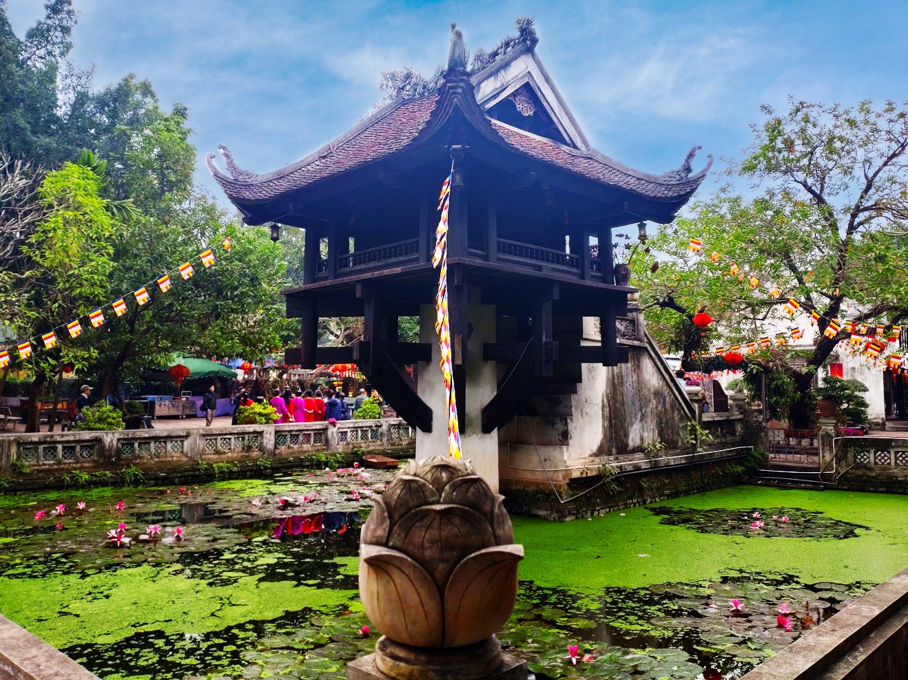 Hoa sen - Hành trình từ quá khứ đến hiện tại