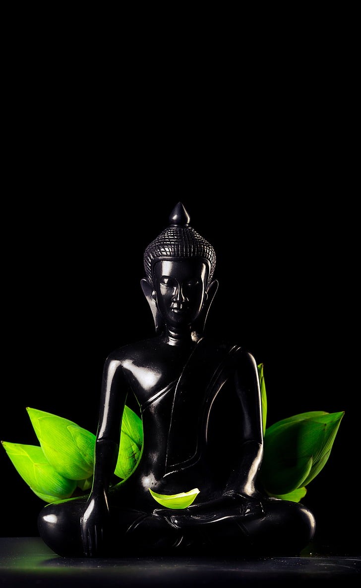 Hình ảnh hoa sen trong trang trí