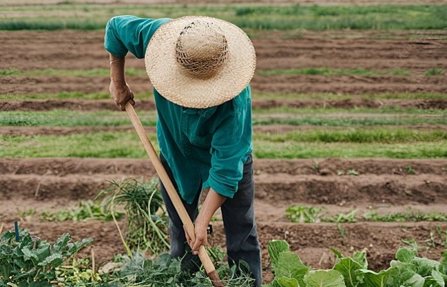 Những căn bệnh thầm lặng khi làm vườn