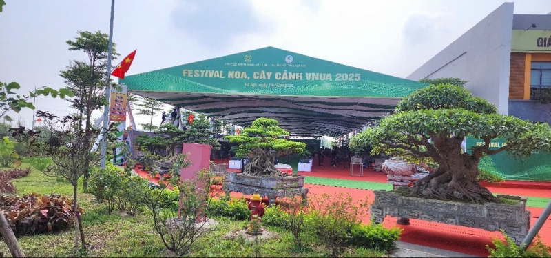 Festival Hoa, Cây Cảnh VNUA 2025: Diễn đàn kết nối và hội tụ tinh hoa sinh vật cảnh