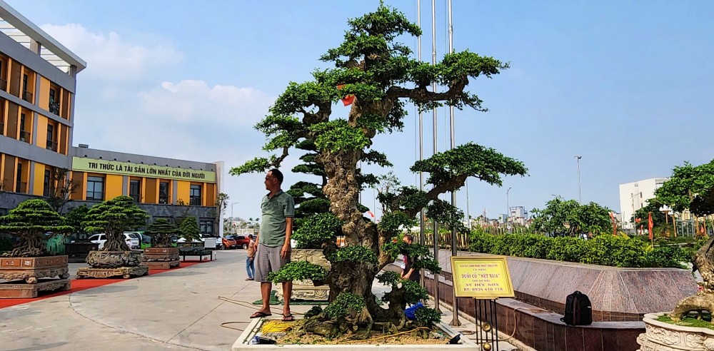 Festival hoa, cây cảnh VNUA 2025: Diễn đàn kết nối và hội tụ tinh hoa sinh vật cảnh