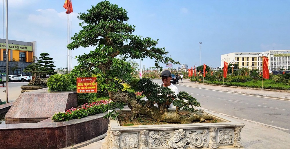 Festival hoa, cây cảnh VNUA 2025: Diễn đàn kết nối và hội tụ tinh hoa sinh vật cảnh