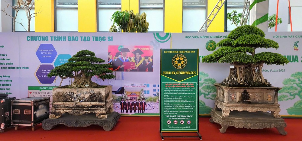 Festival hoa, cây cảnh VNUA 2025: Diễn đàn kết nối và hội tụ tinh hoa sinh vật cảnh