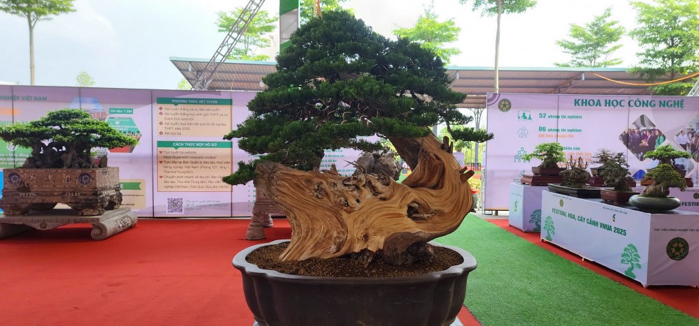 Festival hoa, cây cảnh VNUA 2025: Diễn đàn kết nối và hội tụ tinh hoa sinh vật cảnh