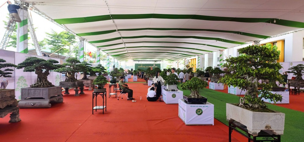 Festival hoa, cây cảnh VNUA 2025: Diễn đàn kết nối và hội tụ tinh hoa sinh vật cảnh