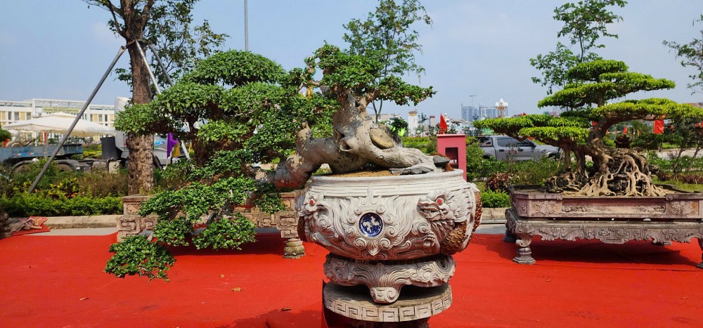 Festival hoa, cây cảnh VNUA 2025: Diễn đàn kết nối và hội tụ tinh hoa sinh vật cảnh