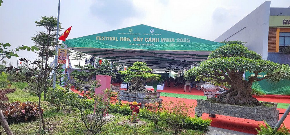 Festival hoa, cây cảnh VNUA 2025: Diễn đàn kết nối và hội tụ tinh hoa sinh vật cảnh