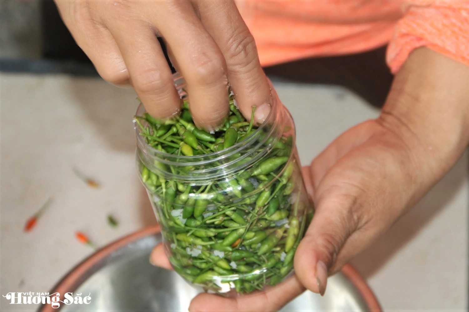 Loại ớt mang tên 1 loài chim thành đặc sản, giúp người Cơ Tu thoát nghèo