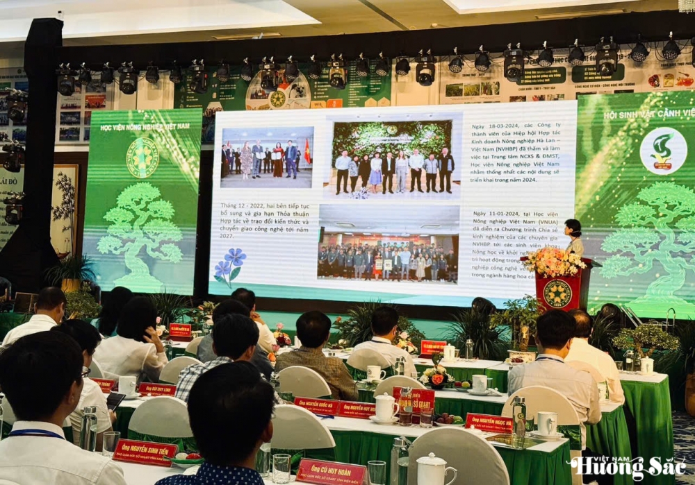 Festival hoa, cây cảnh: Phát triển ngành hoa, cây cảnh hiện đại, bền vững