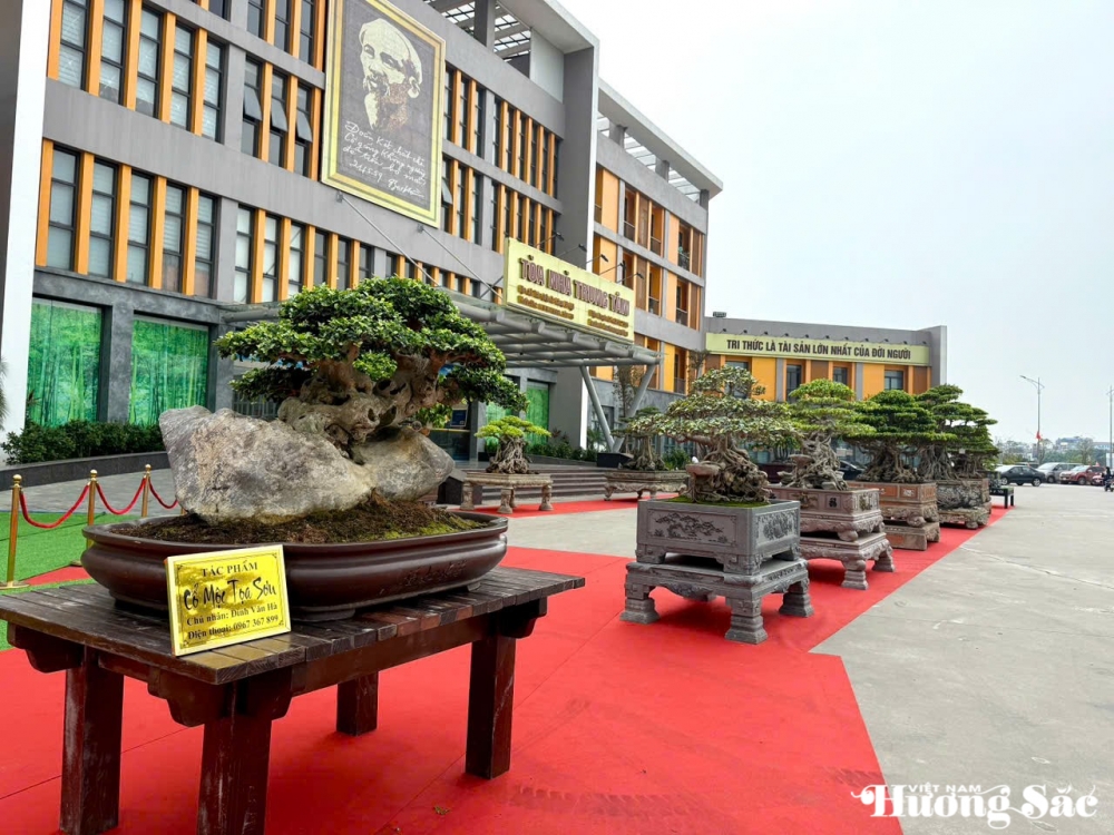 Festival hoa, cây cảnh VNUA 2025: Vì một ngành hoa, cây cảnh hiện đại, bền vững
