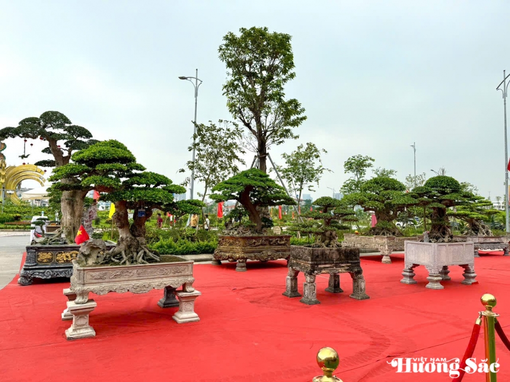 Festival hoa, cây cảnh VNUA 2025: Vì một ngành hoa, cây cảnh hiện đại, bền vững