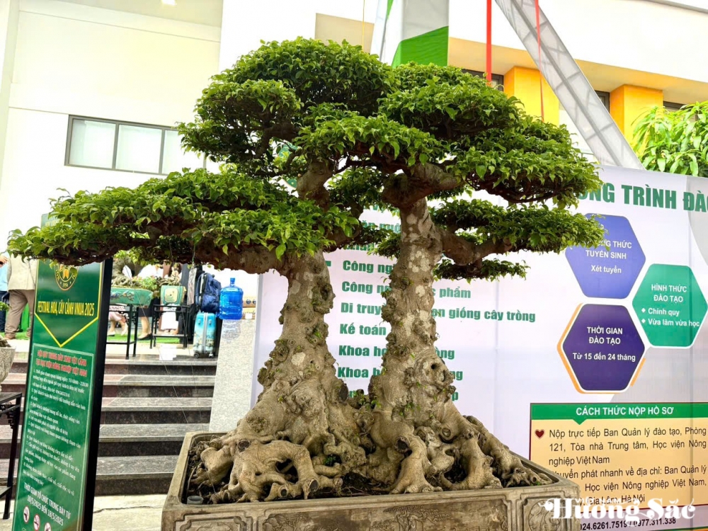 Festival hoa, cây cảnh VNUA 2025: Vì một ngành hoa, cây cảnh hiện đại, bền vững