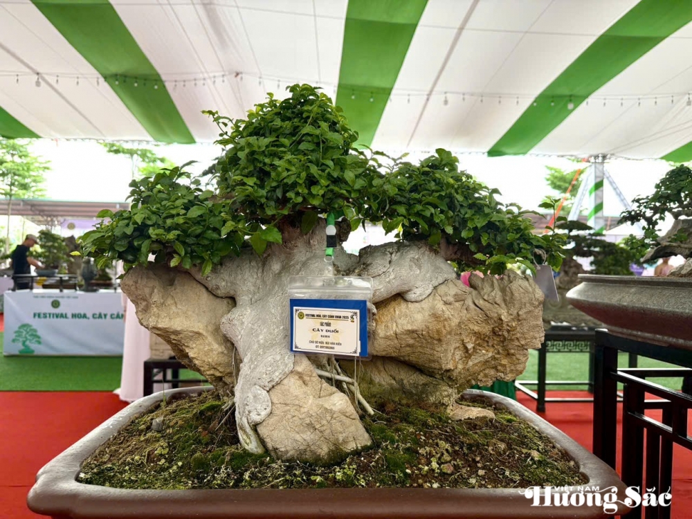 Festival hoa, cây cảnh VNUA 2025: Vì một ngành hoa, cây cảnh hiện đại, bền vững