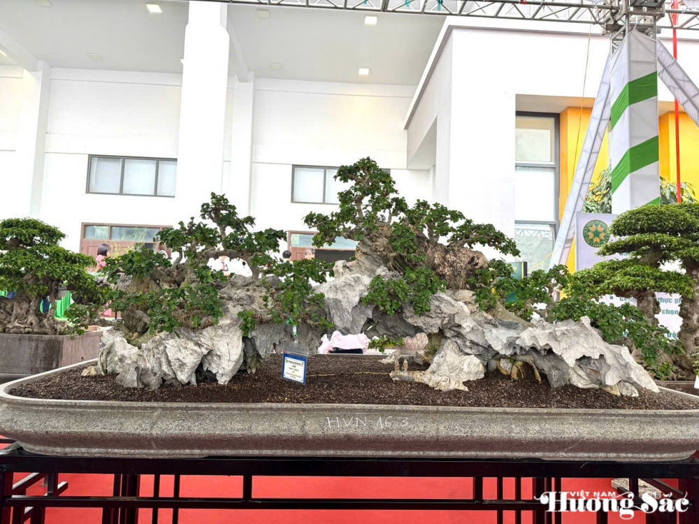 Festival hoa, cây cảnh VNUA 2025: Vì một ngành hoa, cây cảnh hiện đại, bền vững