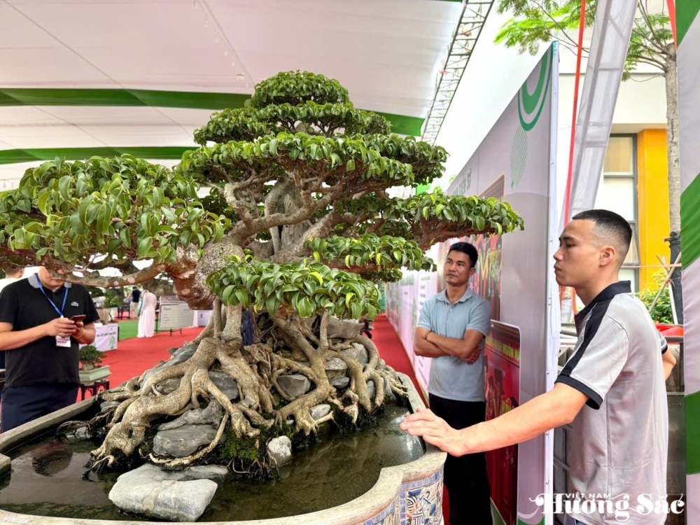 Festival hoa, cây cảnh VNUA 2025: Vì một ngành hoa, cây cảnh hiện đại, bền vững