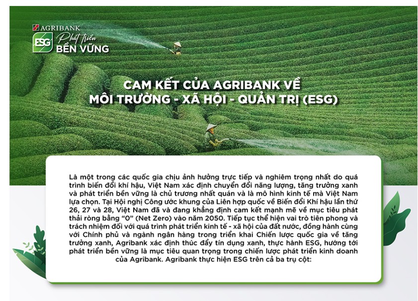 Đẩy mạnh tín dụng và cơ chế đầu tư cho ngành hoa, cây cảnh để khai thác hết tiềm năng sẵn có
