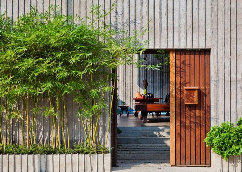 3 cây cảnh trồng càng lâu càng tích phúc lộc, nâng vận khí cho cả nhà
