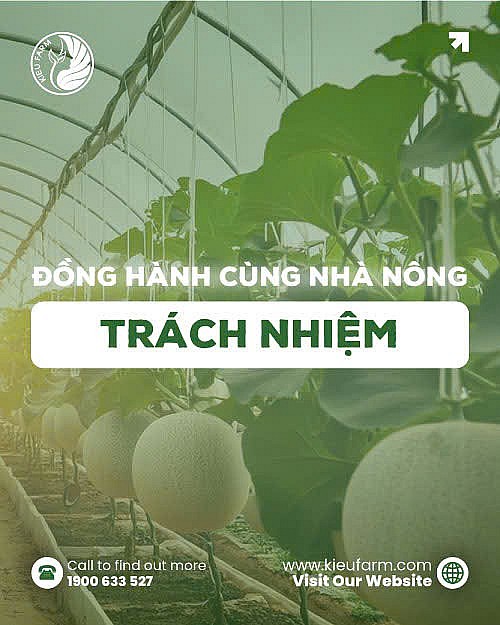 Hệ sinh thái Kieufarm​​​​​​​ – Nâng tầm giá trị nông sản Việt Nam