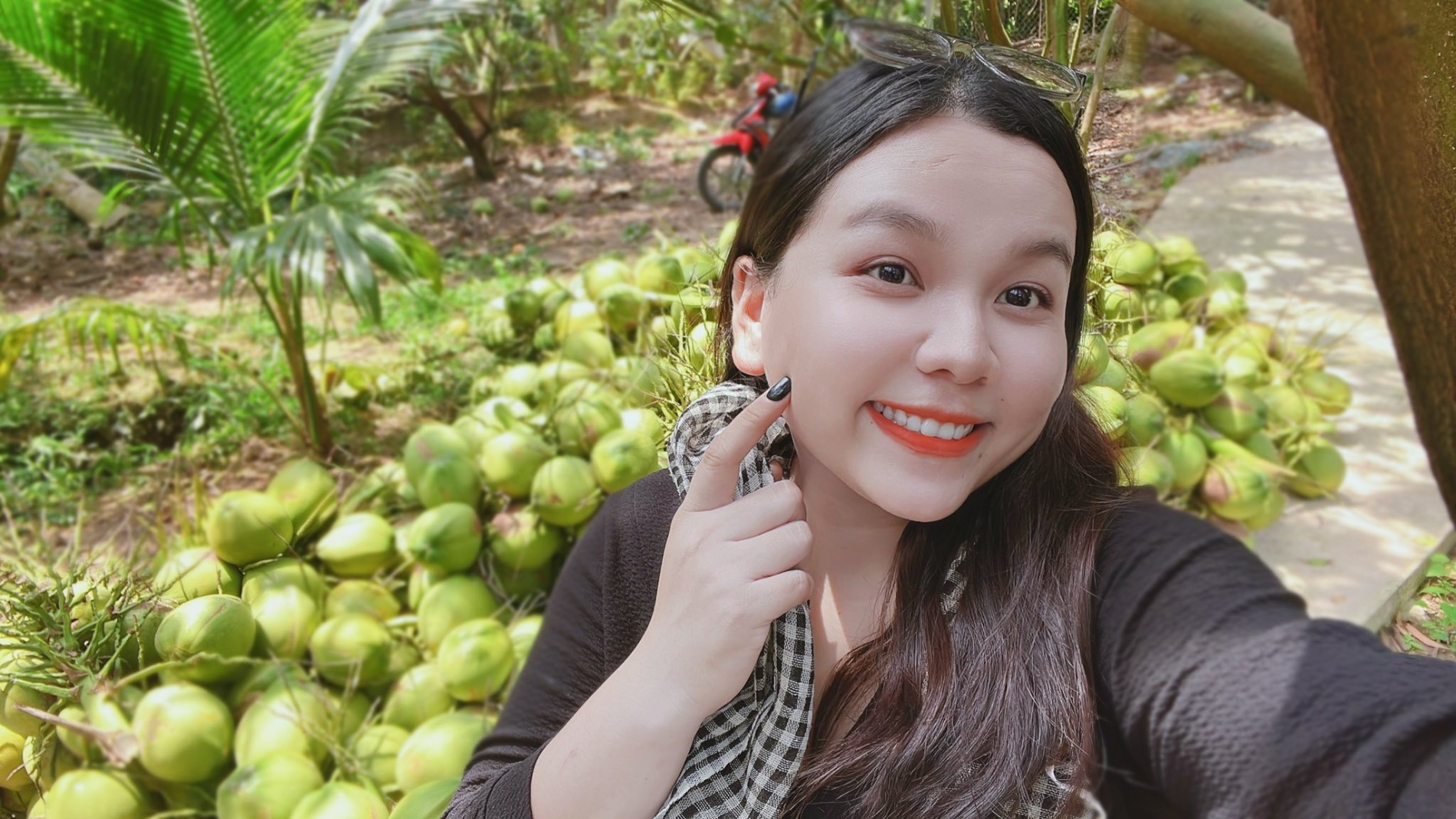 Mùa hè miền Tây trong ký ức: Trái chôm chôm đỏ và một khu vườn trĩu nỗi nhớ thương Mùa hè miền Tây trong ký ức: Trái chôm chôm đỏ và một khu vườn trĩu nỗi nhớ thương